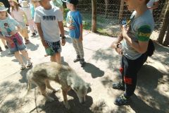 IMG20230605124604