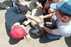 IMG20230605124831