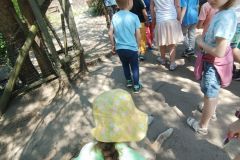 IMG20230605124857