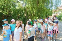 IMG20230605125054