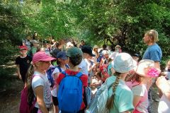 IMG20230605131035