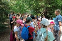 IMG20230605131038