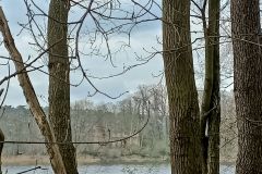 IMG20230413105830