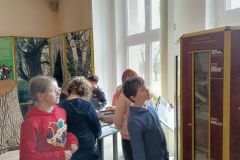 IMG20230413115039