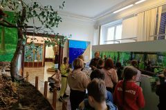 IMG20230413120235