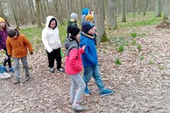 IMG_20230413_105051