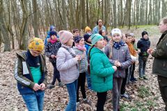 IMG_20230413_110446