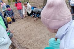 IMG_20230413_112633