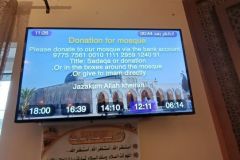 IMG20240131112620