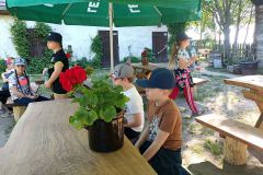 IMG20220520090323