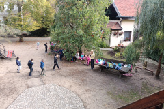 IMG20241008101030