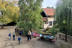 IMG20241008101034