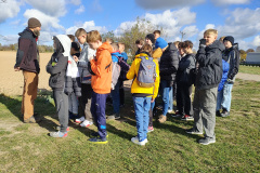 IMG_20241015_112909897