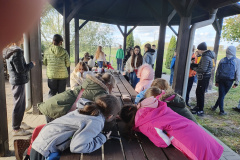 trashed-1731591899-IMG_20241015_134107374_HDR