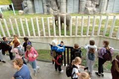 IMG20231011134835