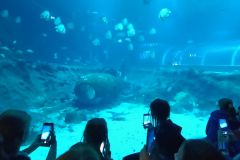 IMG20231011144154